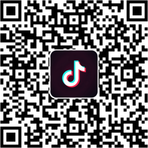 抖音小程序
